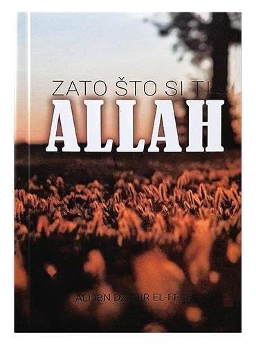 Zato što si ti Allah