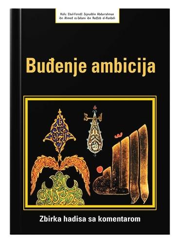 Buđenje ambicija